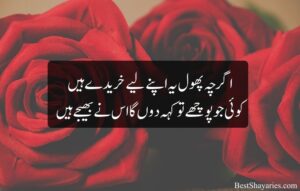 Gulab Wali Shayari in Urdu